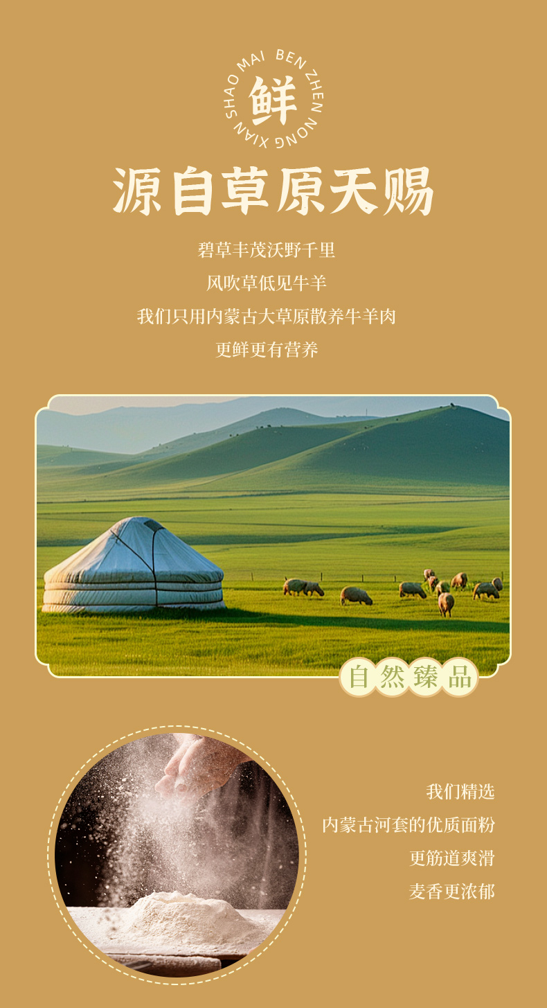 790_03.jpg
